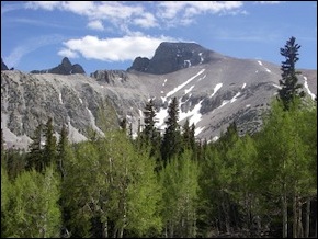 aspen and mixed conifer